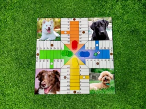 Ludo personalizado